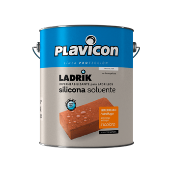 Ladrik Silicona Solvente