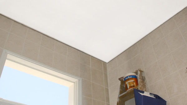 Finalización del Trabajo