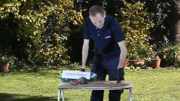 Limpieza con Espátula