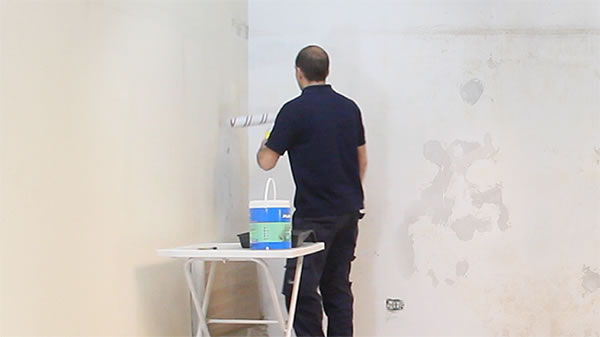 Fijador Segunda Mano