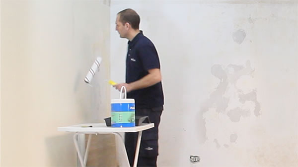 Fijador Segunda Mano